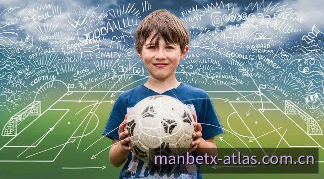 ManBetX万博平台架构与数字生态全景图